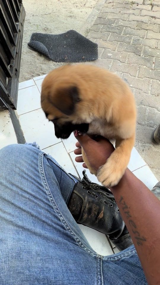 TikTok video thumbnail by vineshhhhh29