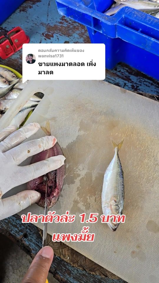TikTok video thumbnail by hasun.driedseafood