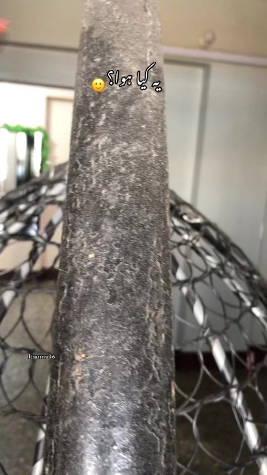 TikTok video thumbnail by itsannu46