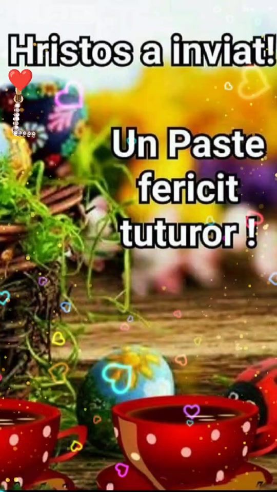 TikTok video thumbnail by userhc59cfz8f7