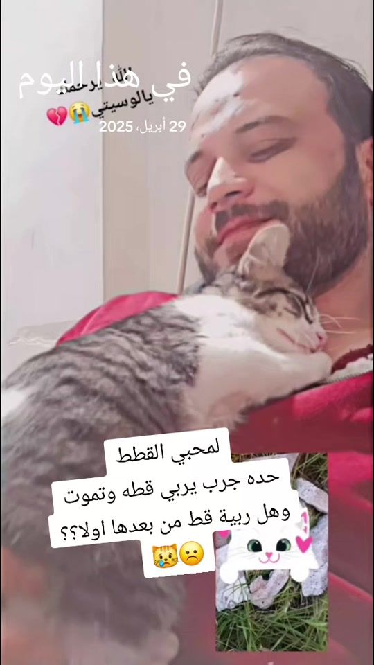 TikTok video thumbnail by lorenz.600