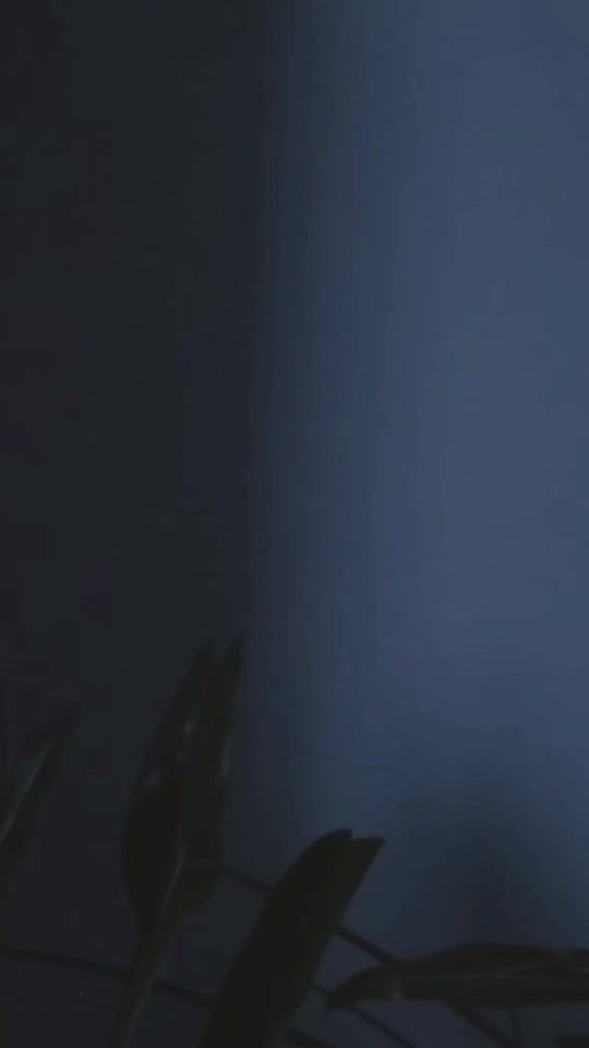 TikTok video thumbnail by catturnmeow
