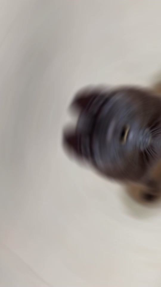 TikTok video thumbnail by xiam257