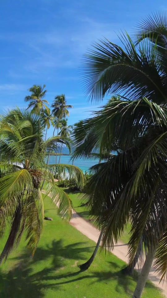 TikTok video thumbnail by abelvlogsrd