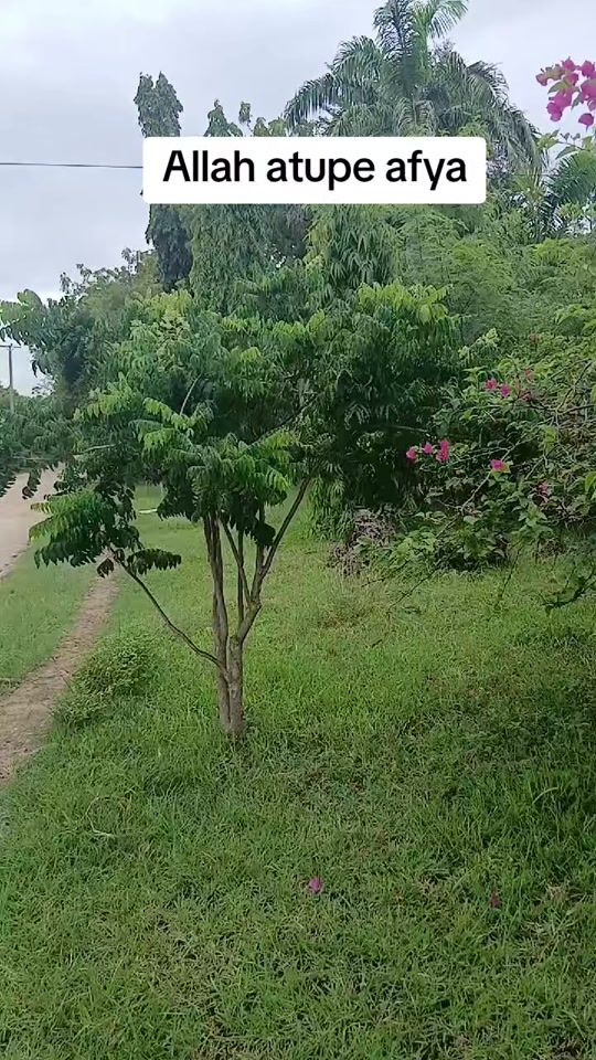 TikTok video thumbnail by faiz_bintaib