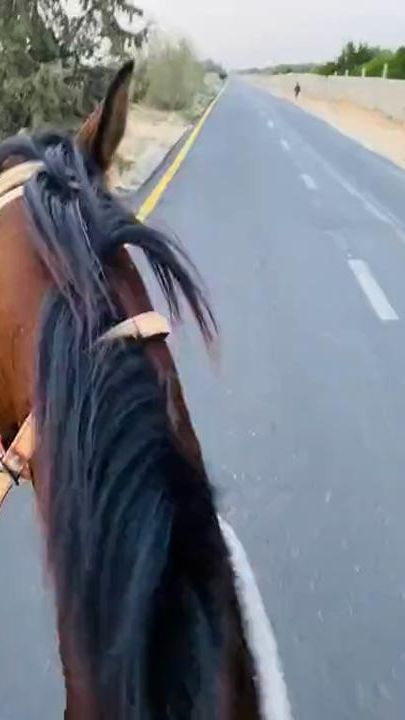 TikTok video thumbnail by sh_ahen2