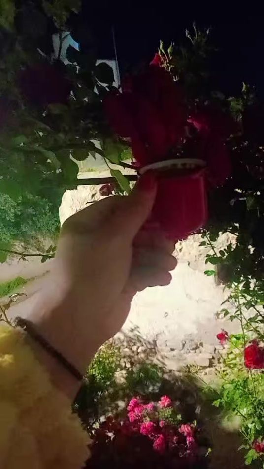 TikTok video thumbnail by h__101__n