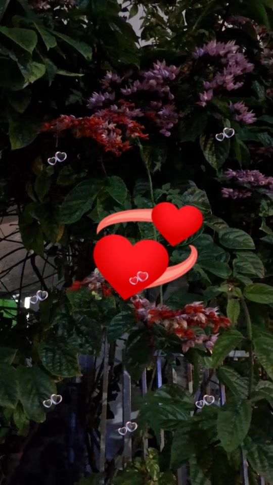 TikTok video thumbnail by tamil94535