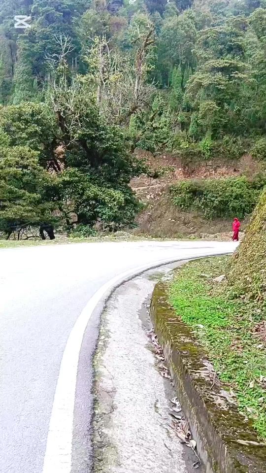 TikTok video thumbnail by changlu11