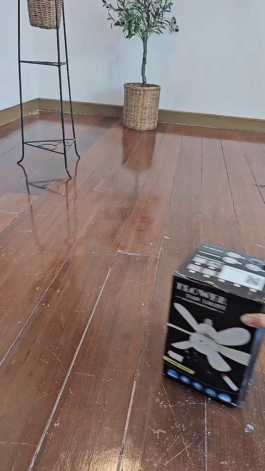 TikTok video thumbnail by koryatelling