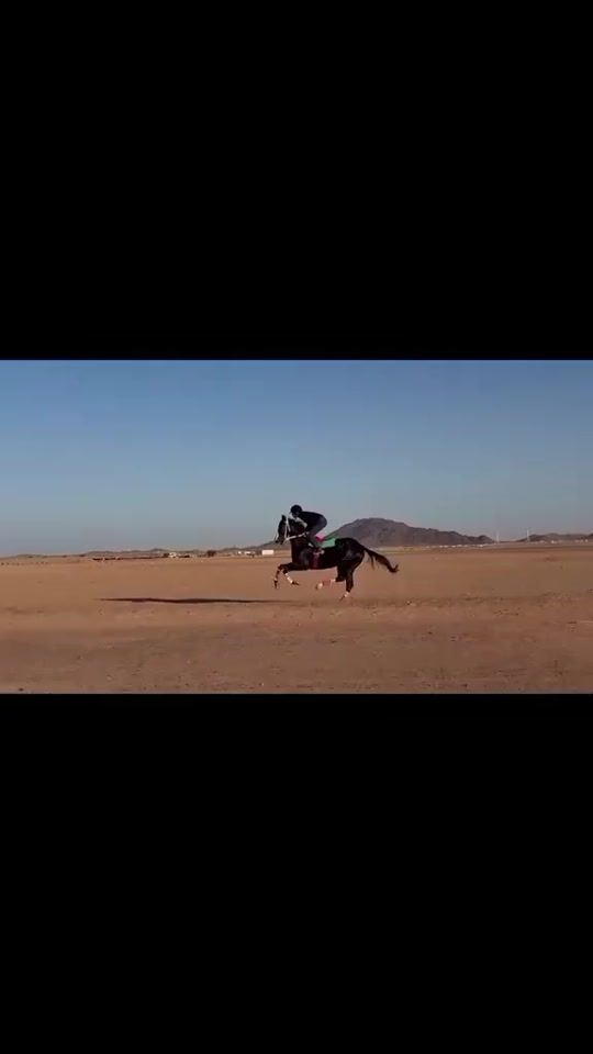 TikTok video thumbnail by shineyarzar70
