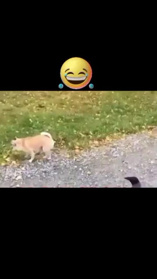 TikTok video thumbnail by las_sailors