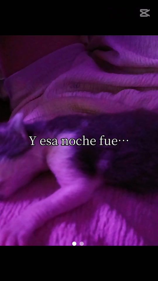 TikTok video thumbnail by soycande671