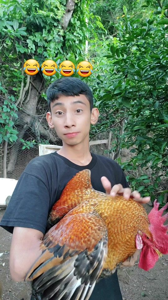 TikTok video thumbnail by soyjosecitovazquez