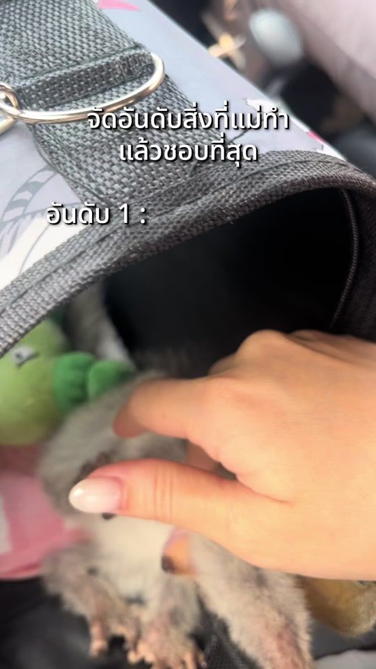 TikTok video thumbnail by pimandjedii