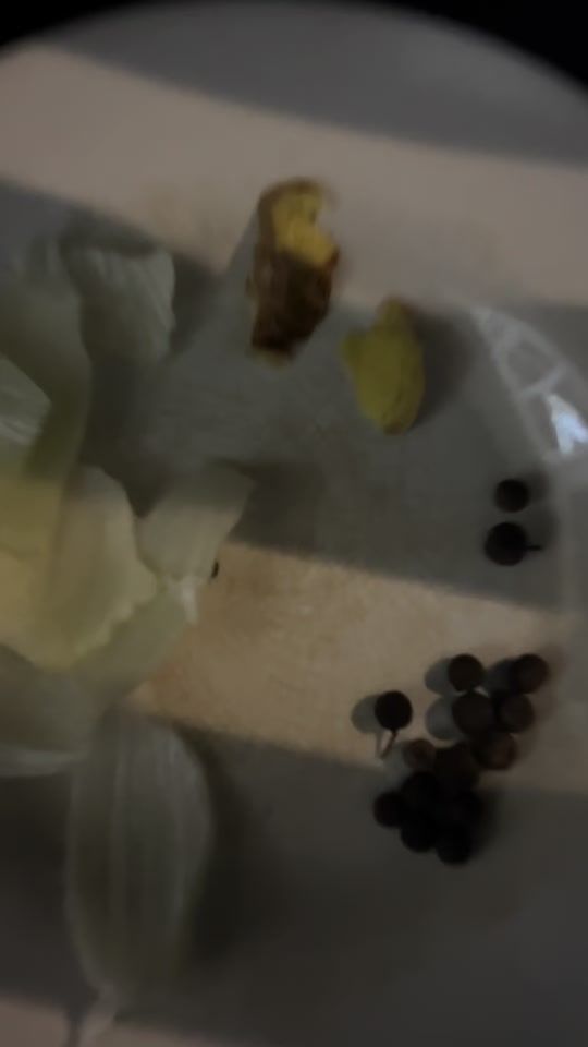 TikTok video thumbnail by reshma.mani_pedicure