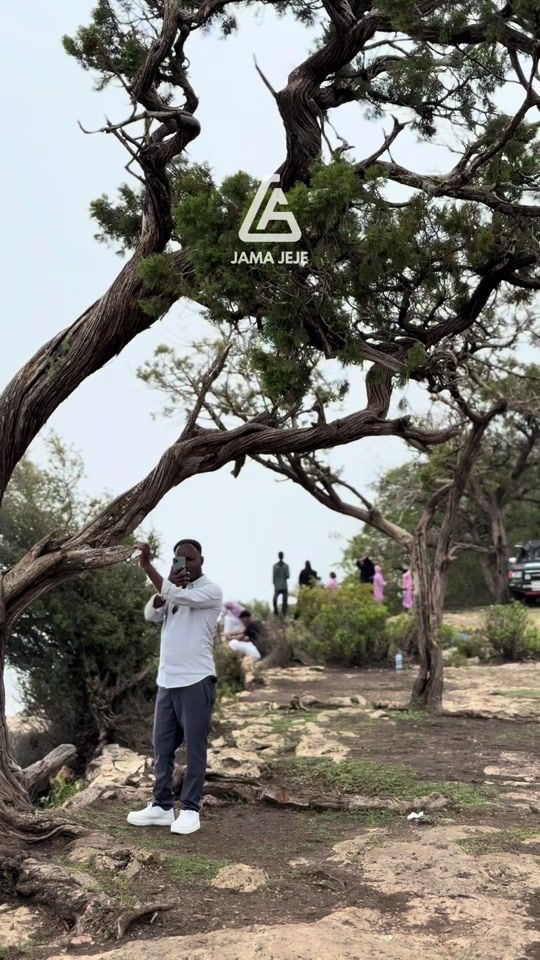 TikTok video thumbnail by jamaguled0
