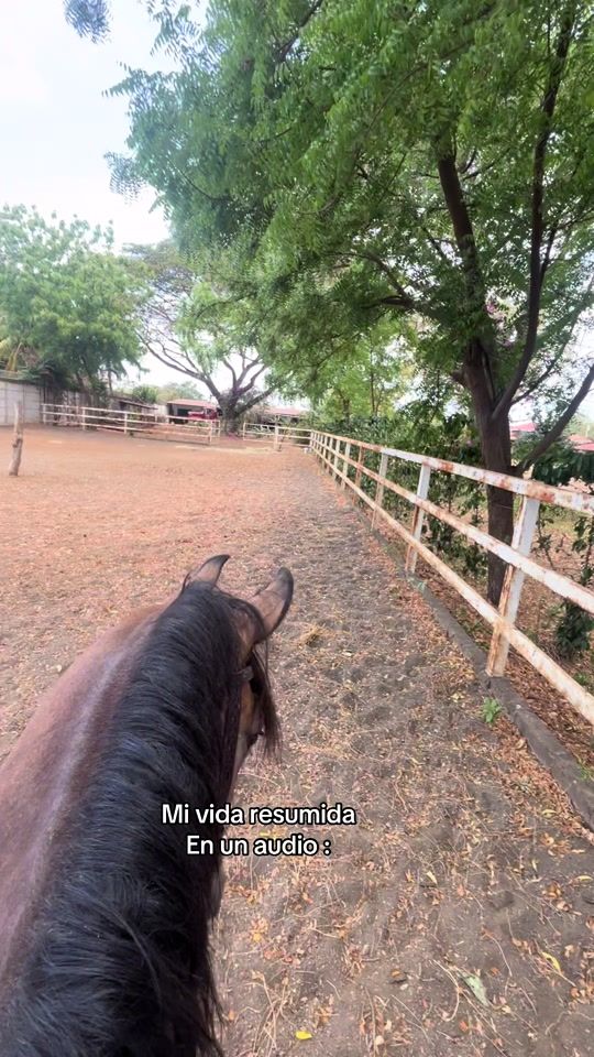 TikTok video thumbnail by jesustaiz01