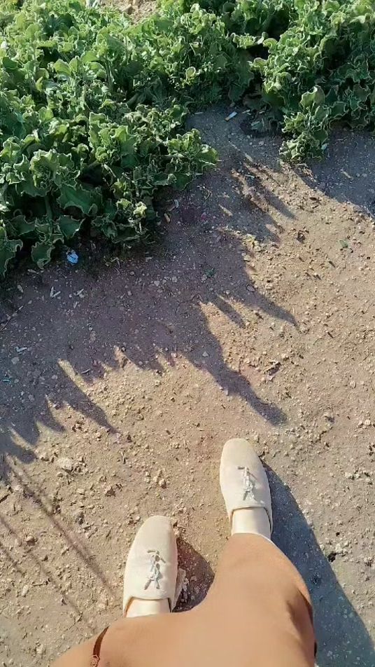 TikTok video thumbnail by norhoda1796