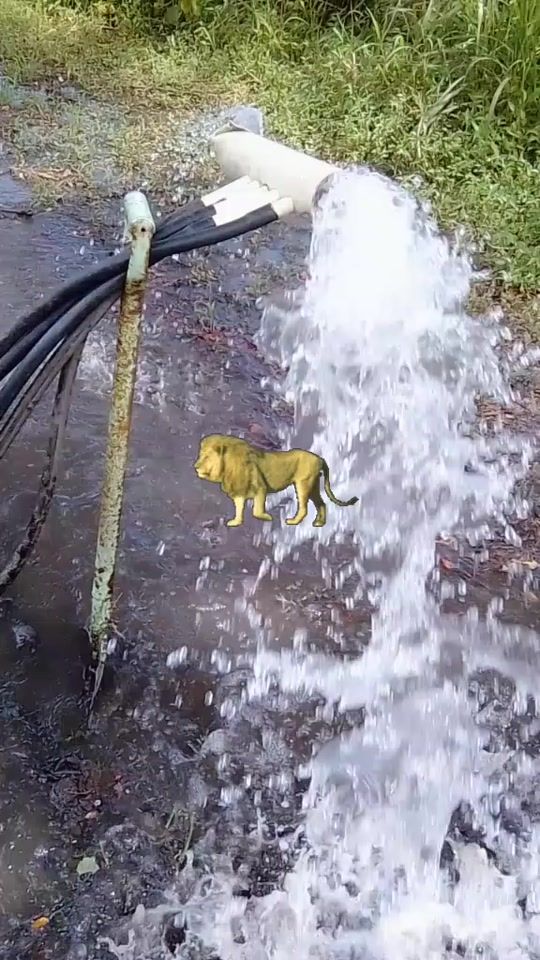TikTok video thumbnail by ning.vikash