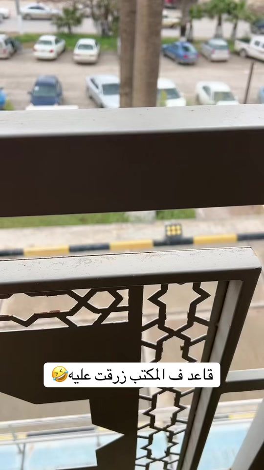 TikTok video thumbnail by almortada0
