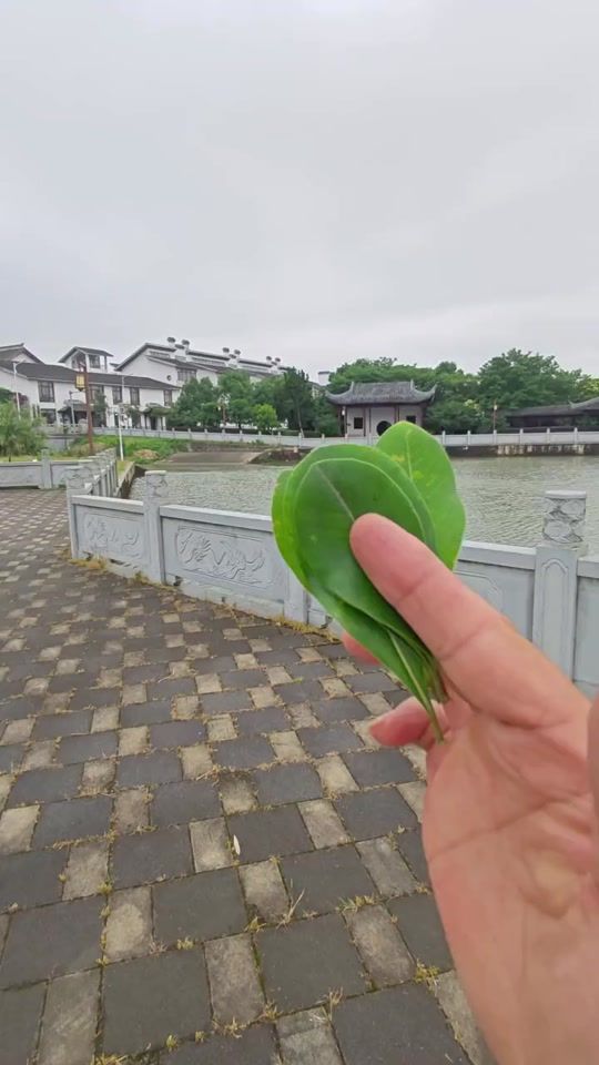 TikTok video thumbnail by monastik37