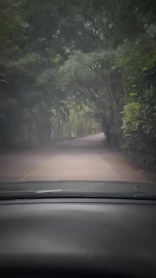 TikTok video thumbnail by albin_lyrics