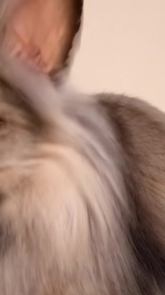 TikTok video thumbnail by djnarodnii