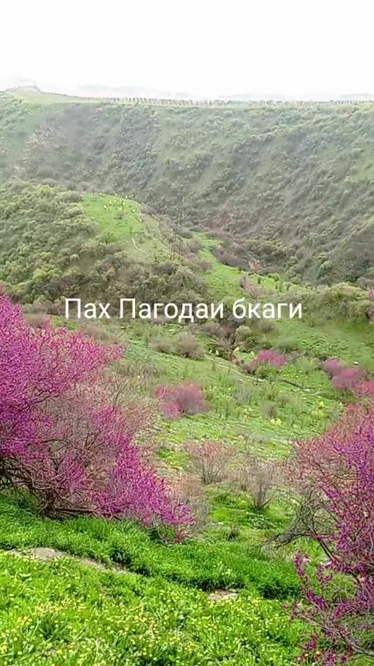 TikTok video thumbnail by user88422751998706
