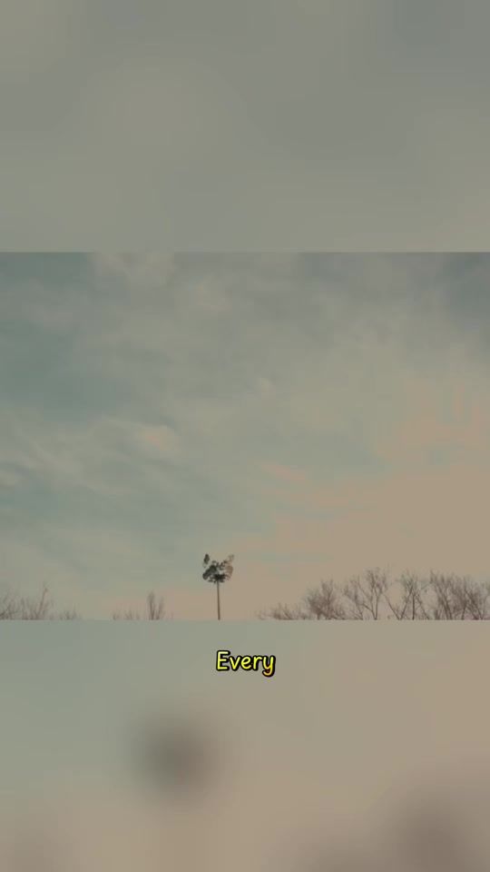 TikTok video thumbnail by biskaboi
