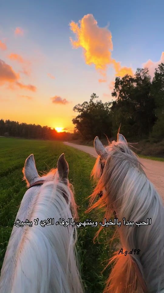TikTok video thumbnail by a.g.d98