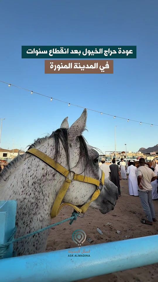 TikTok video thumbnail by ask_almadina