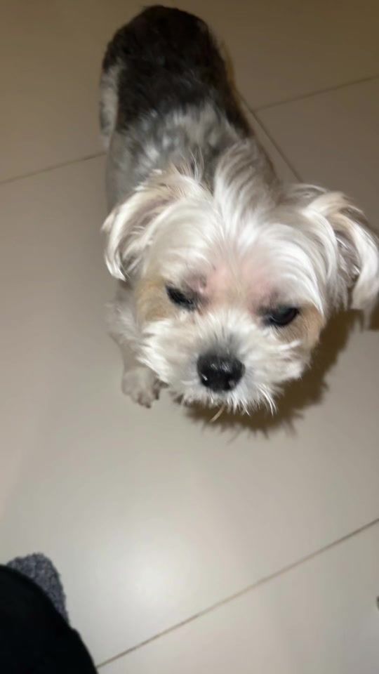 TikTok video thumbnail by bibii_63