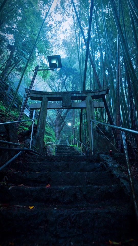 TikTok video thumbnail by japan_walker_