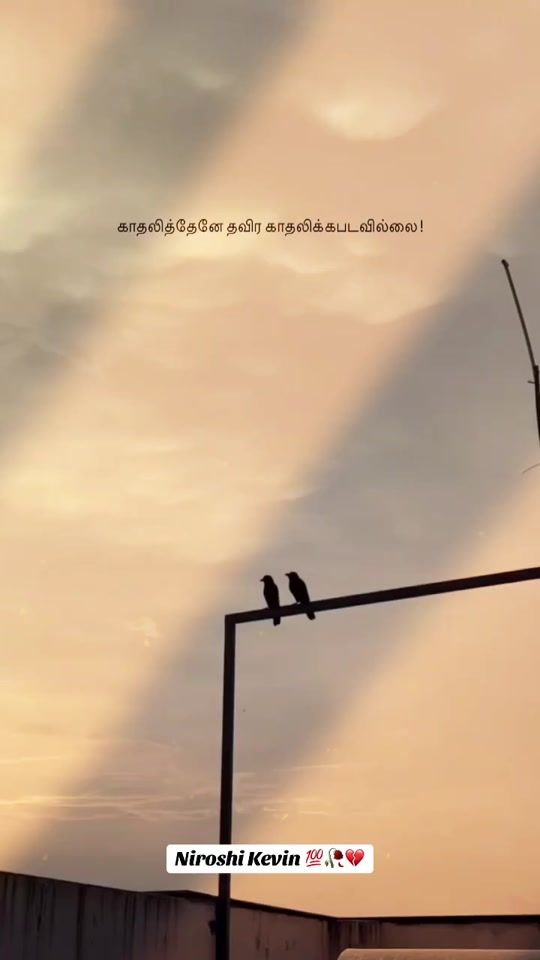 TikTok video thumbnail by niroshikevin