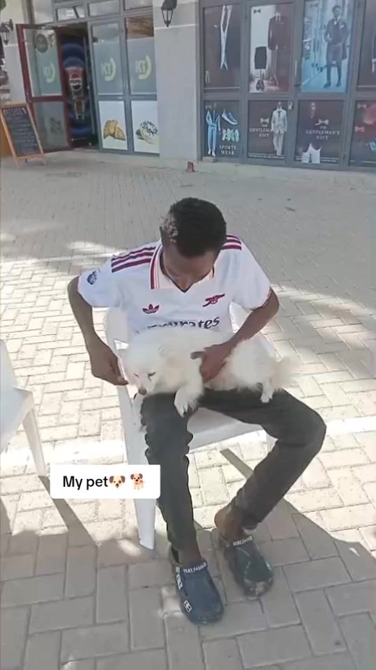 TikTok video thumbnail by calebemuto