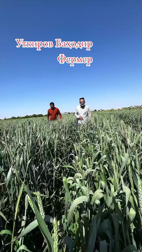 TikTok video thumbnail by 7007771___