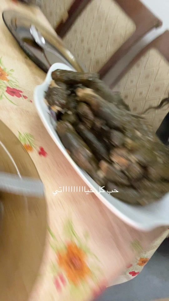 TikTok video thumbnail by sohailahany_