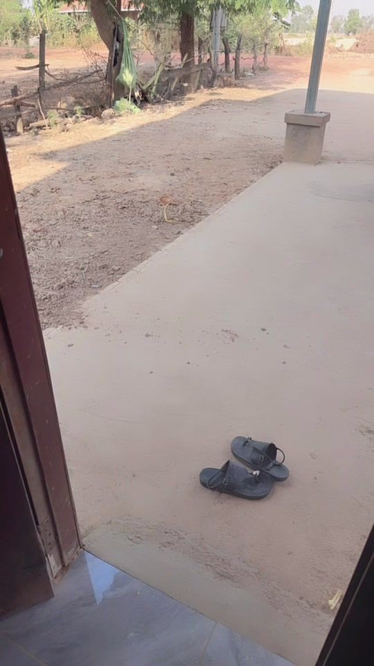 TikTok video thumbnail by dalove3451