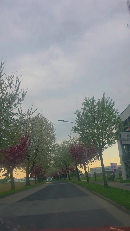 TikTok video thumbnail by aurelis.world