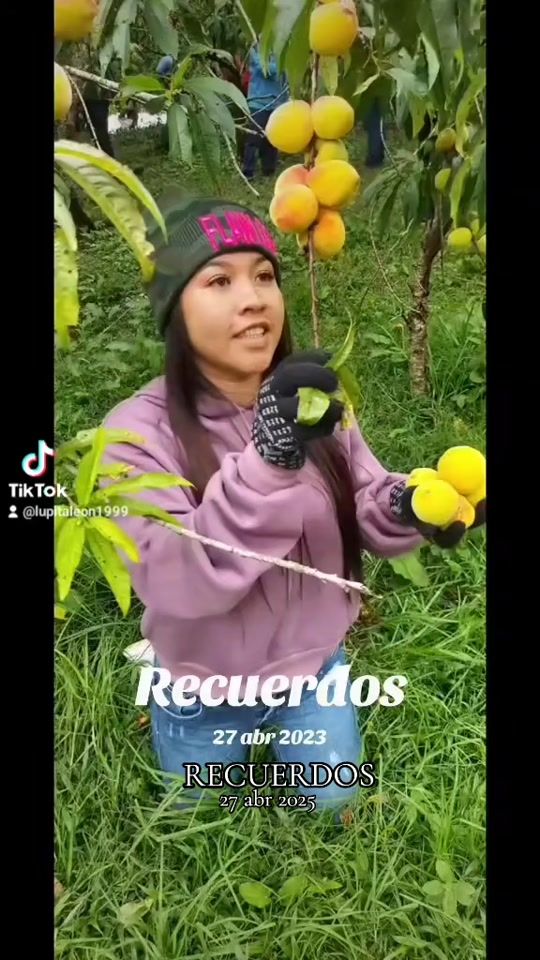 TikTok video thumbnail by lupitaleon1999