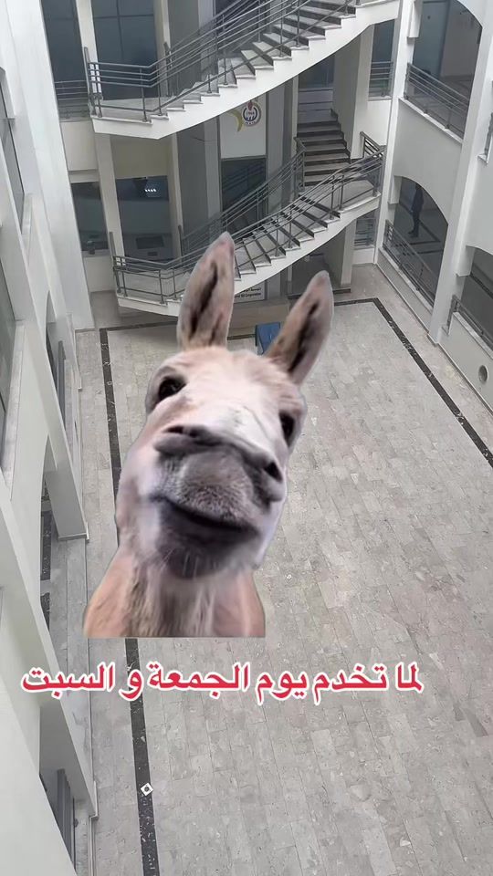 TikTok video thumbnail by noc_libya_lover
