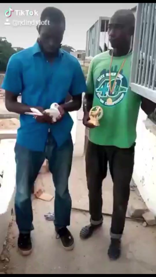 TikTok video thumbnail by ndindyloft