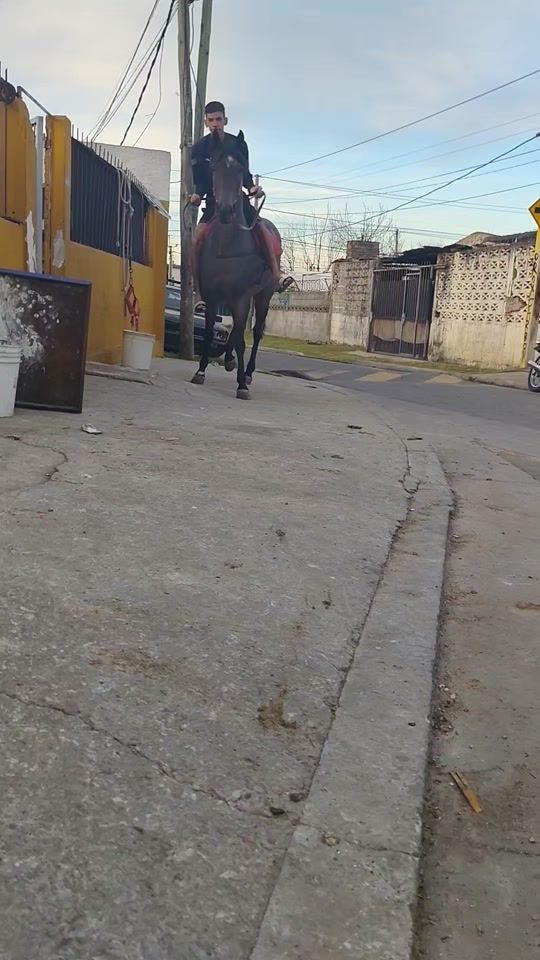 TikTok video thumbnail by eiilolapereira1981