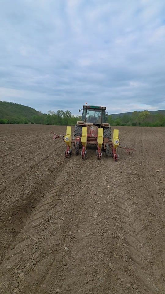 TikTok video thumbnail by agro_vesic