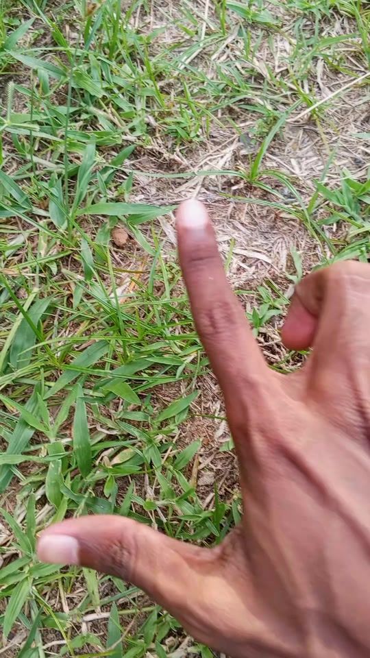 TikTok video thumbnail by heshan.harshajith