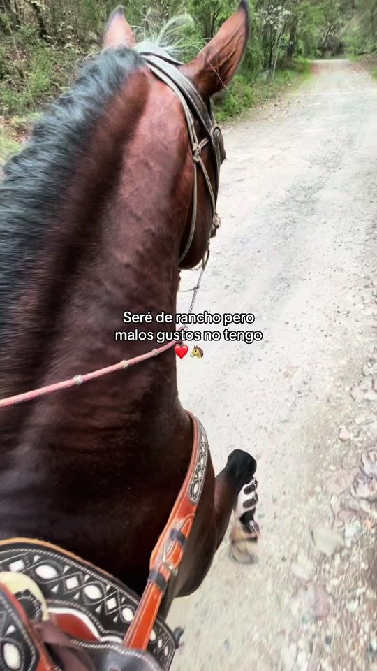 TikTok video thumbnail by 170kevin