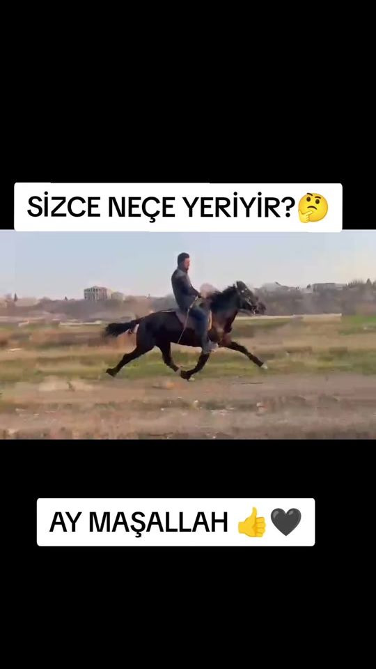 TikTok video thumbnail by cellabdali_15_atbaz