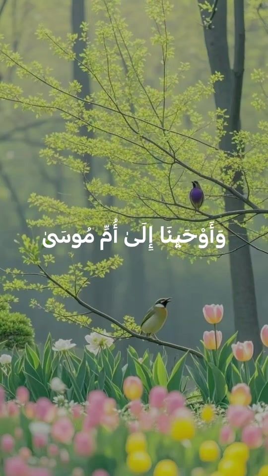 TikTok video thumbnail by sobhy1411