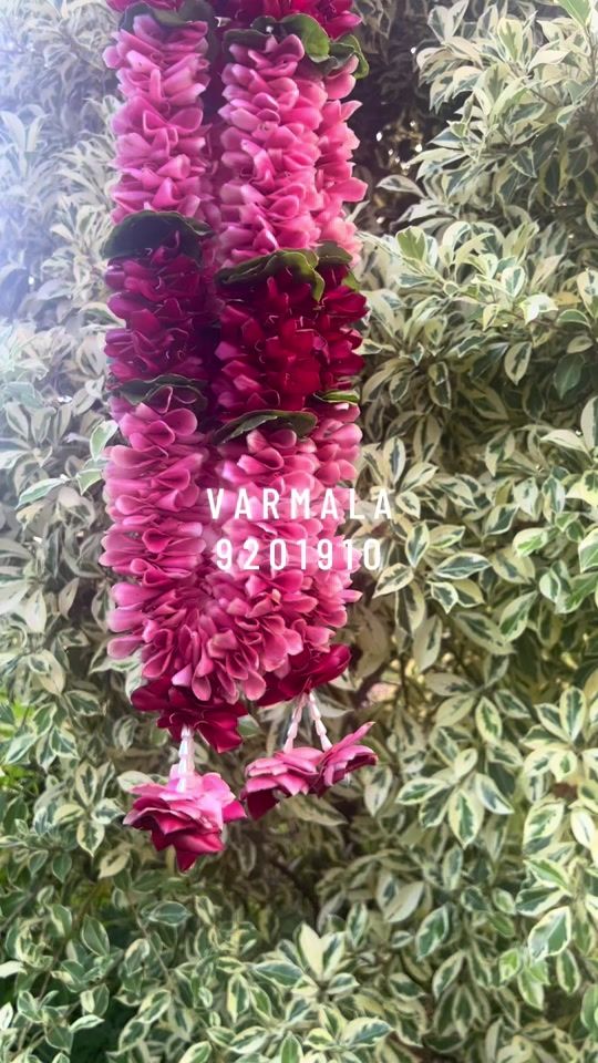 TikTok video thumbnail by varsha_kant_